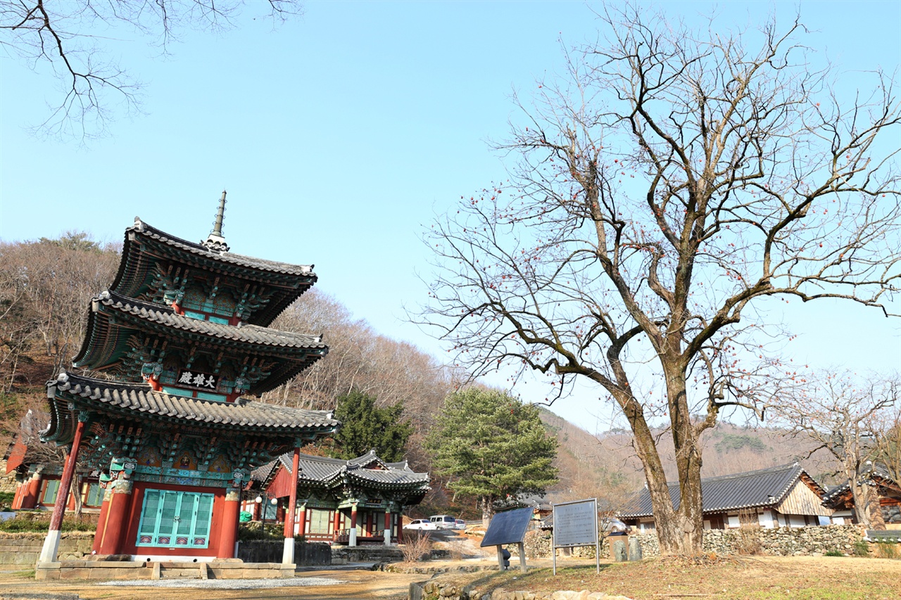 쌍봉사 대웅전. 조광조의 정치만큼이나 개혁적인 절집이다.