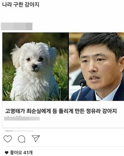박근혜 대통령 탄핵안 가결 직후 각종 온라인 커뮤니티에선 고영태 더블루K 이사가 데리고 있던 최순실의 강아지가 화제가 됐다.