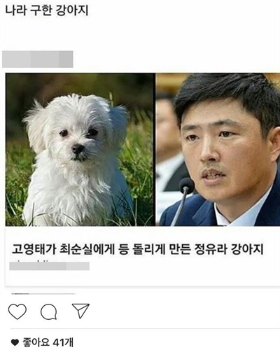  박근혜 대통령 탄핵안 가결 직후 각종 온라인 커뮤니티에선 고영태 더블루K 이사가 데리고 있던 최순실의 강아지가 화제가 됐다.