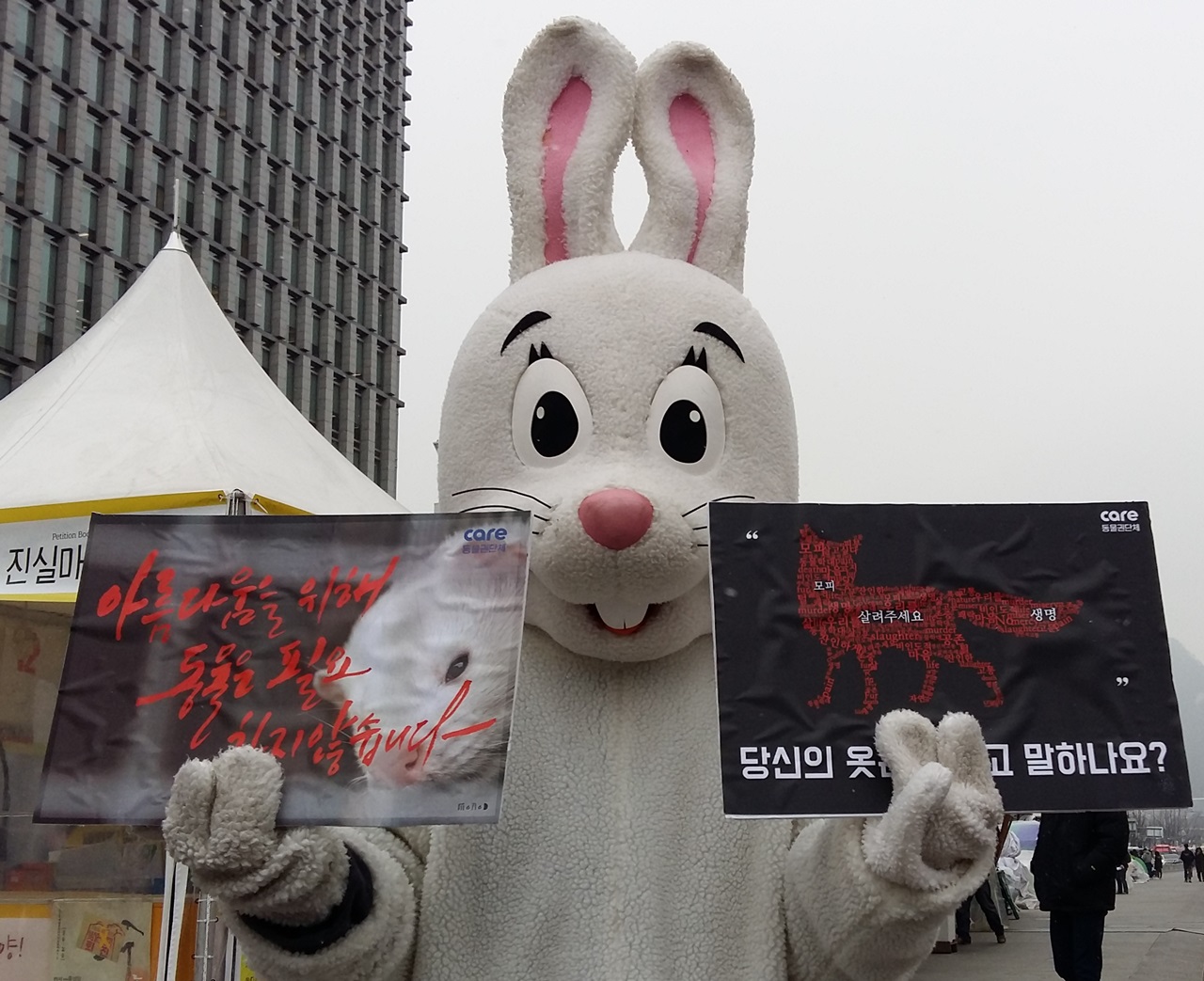 14일, 광화문에서 동물보호단체 활동가가 모피반대 피켓을 들고 있다.