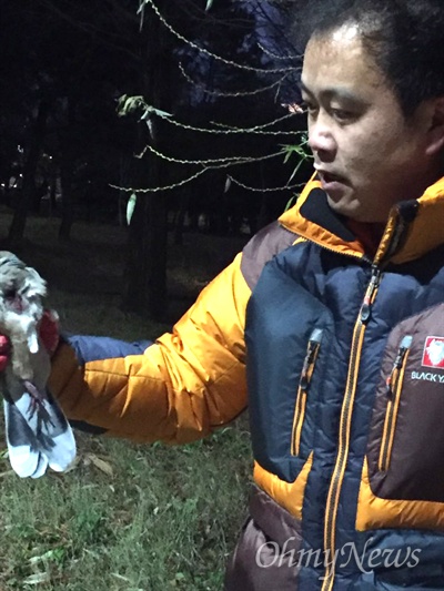 22일 오후 창원 가음정공원에서 가슴에 상처를 입은 멧비둘기가 발견되어 경남야생동물보호협회 회원이 구조하고 있다.