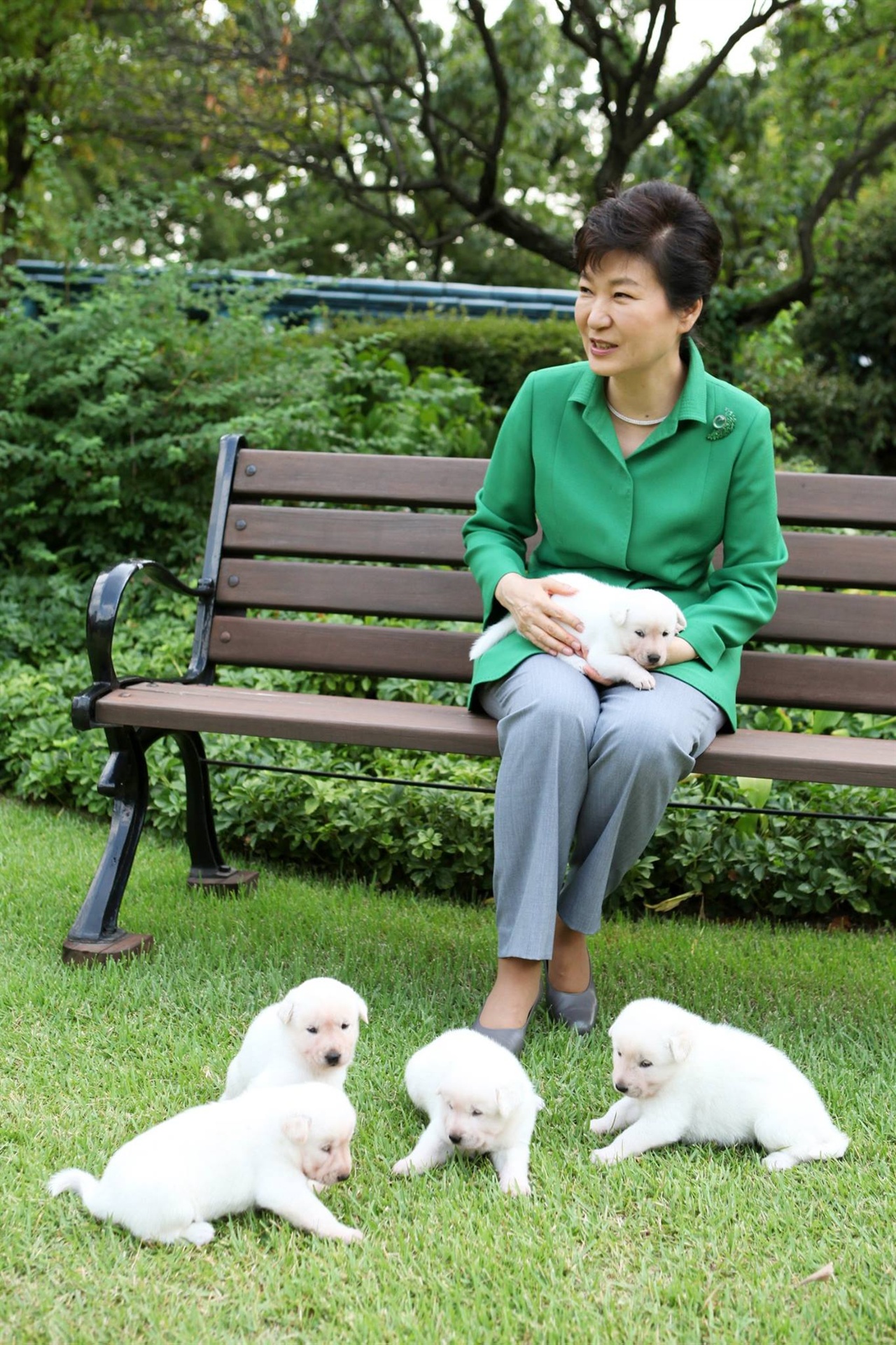 박근혜 대통령이 2015년 9월 페이스북에 올린 사진. 당시 박근혜 대통령과 함께 사진을 찍은 5마리의 개는 입양되었으나, 여전히 청와대에는 9마리의 진돗개가 남아있다.