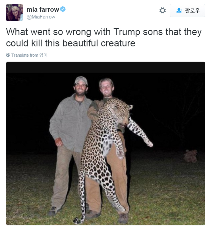 mia farrow 라는 트위터리안이 트럼프 당선인의 아들 도널드 주니어 트럼프(좌)와 에릭 트럼프(우)가 3년 전 아프리카에서 트로피 사냥 후 표범의 사체를 들고 찍은 사진을 올리면서 이들을 비판하고 있다.