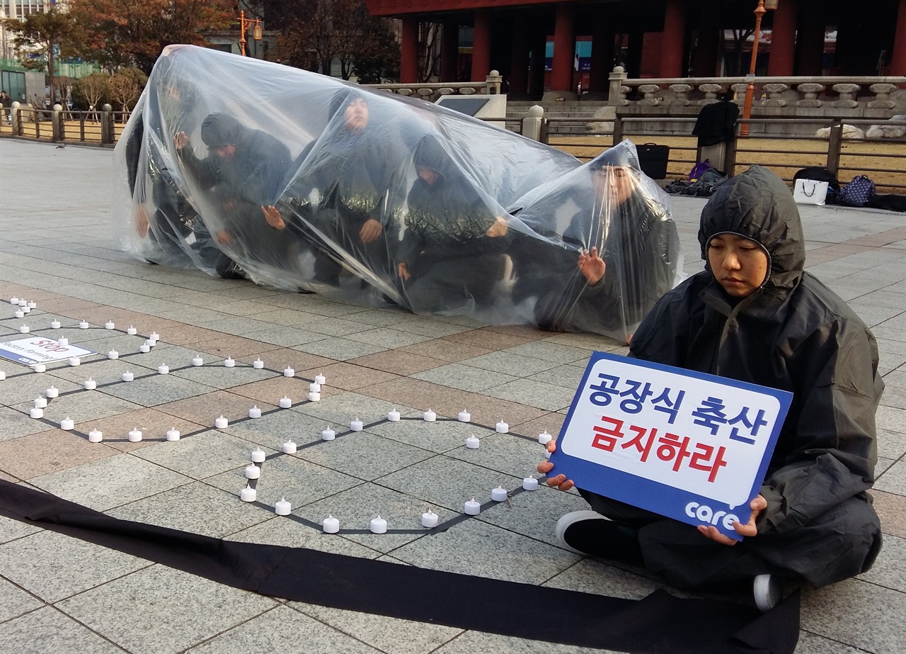 지난 24일, 위령제에서 ‘생매장과 공장식 축산을 반대하는 사람들’이 살처분 당하는 가금류의 고통을 표현하는 퍼포먼스를 펼치고 있다.