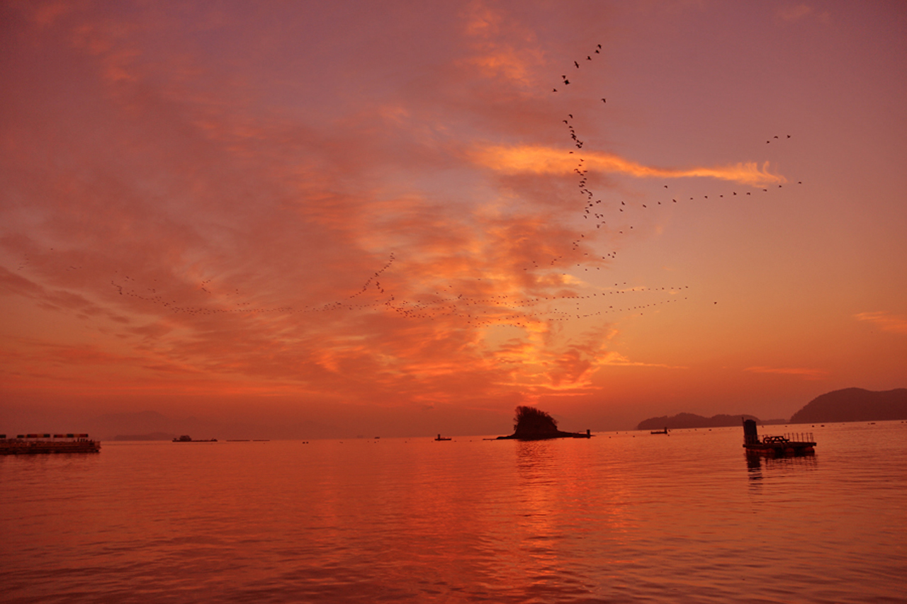 모자섬 여명 위로 철새들이 무리지어 날아가고 있다.