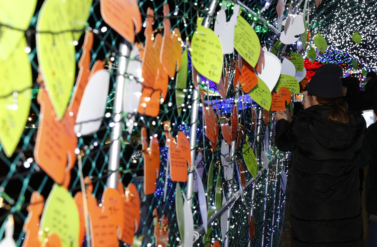 지난 12월 31일 보성차밭 빛축제를 찾은 여행객들이 빛터널에 소망카드를 매달고 있다. 