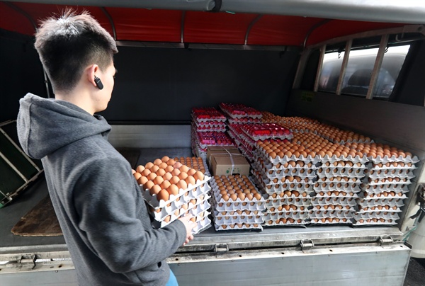 5일 서울 중구 한 계란 도매상에서 직원이 배달을 준비하고 있다. 정부는 계란값 안정을 위해 일시적으로 수입산 가공 및 신선 계란에 할당관세를 적용, 관세를 아예 받지 않기로 했다. 