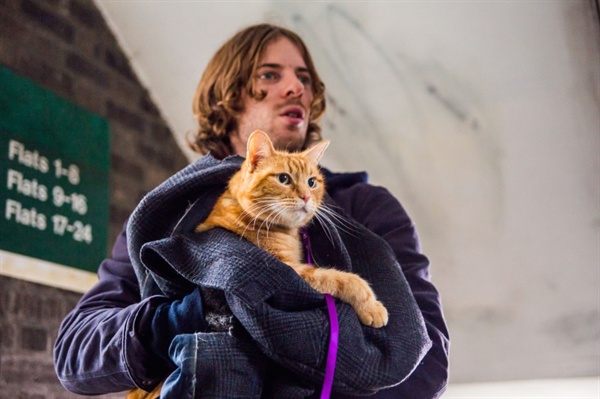  영화 <내 어깨 위 고양이, 밥>의 스틸. 노숙인 제임스(루크 트레더웨이)는 길고양이 밥과 같이 살게 되면서부터 다시 한 번 인간다운 살아갈 수 있는 기회를 잡게 된다. 