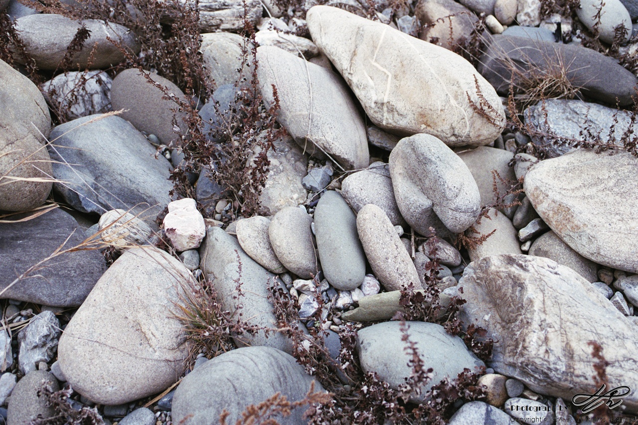 동강 유역의 크고 작은 돌들이 서로 몸을 포개어 낮게 누워있다.(Premium400)