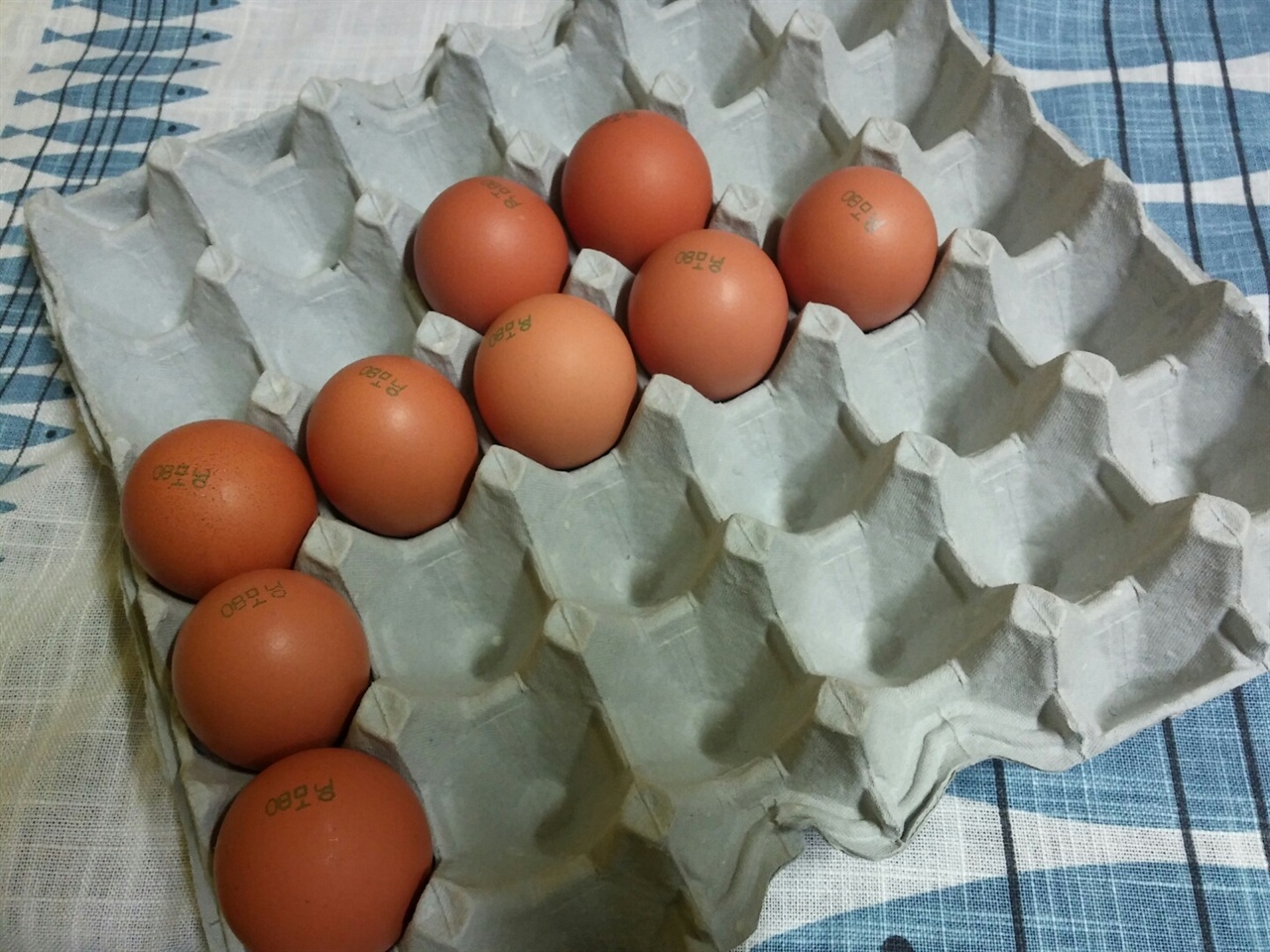 한달을 계란 한판으로 버틴다, 식구 다섯이서.