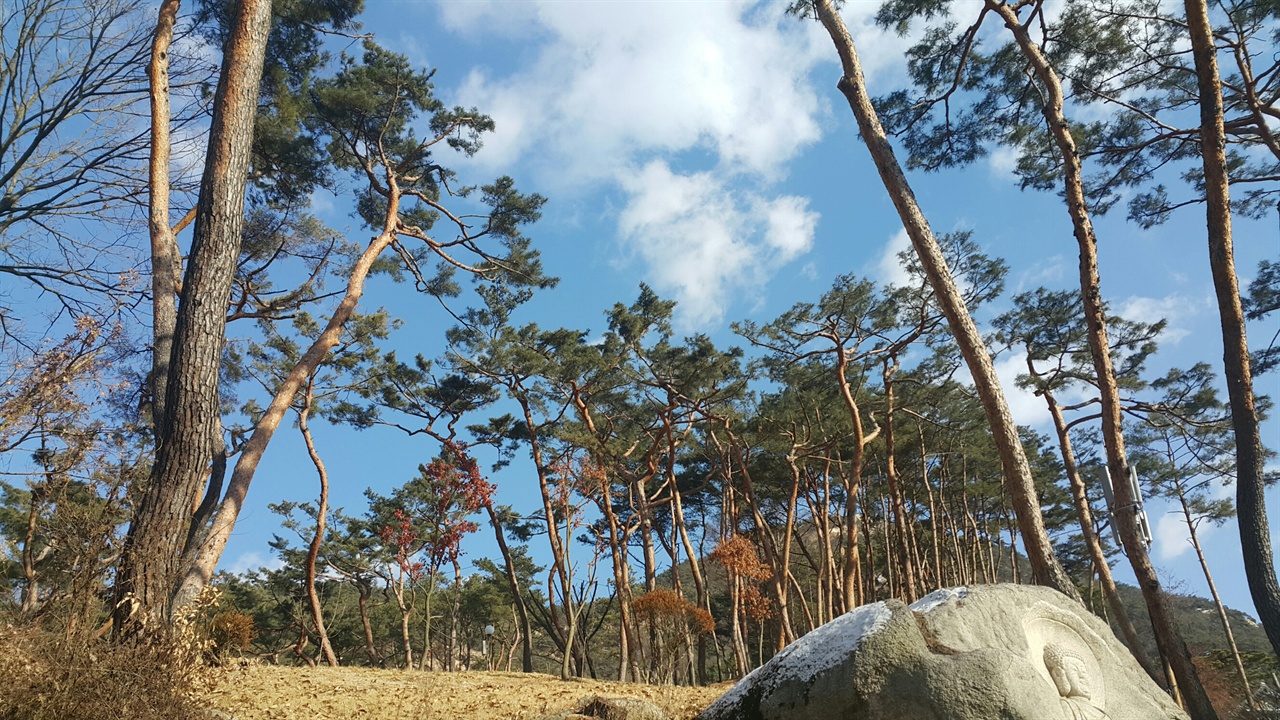 마애불은 최근에 조성된 것이다.