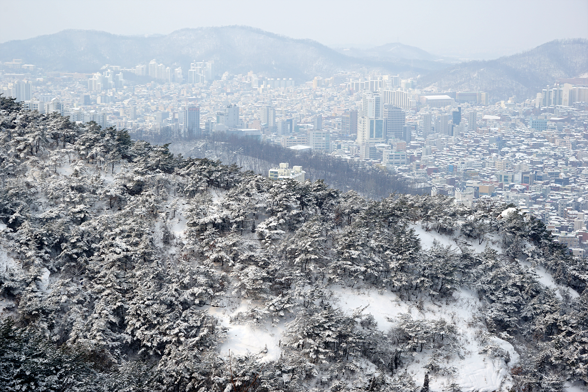 불광사로 하산하며 바라본 풍경