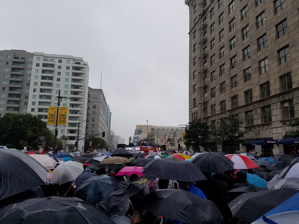 비가 내리는 가운데 트럼프 반대 LA 집회에 참석자들이 우산을 들고 운집해있다