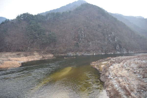 영주댐에서 바로 흘러나온 강물입니다. 이런 물로 어떻게 낙동강의 수질을 개선시킬 수 있을까요?