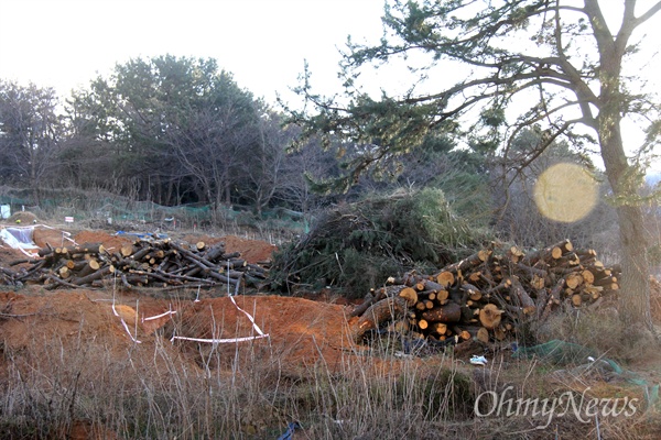 창원시 진해구 자은동 소재 녹지에 '시루봉 등산로 주차장'을 조성하기 위해 소나무 등을 벌목해 놓았다.