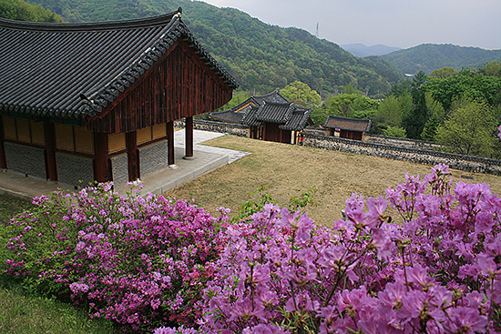  충북 진천 정철 사당 송강사의 봄