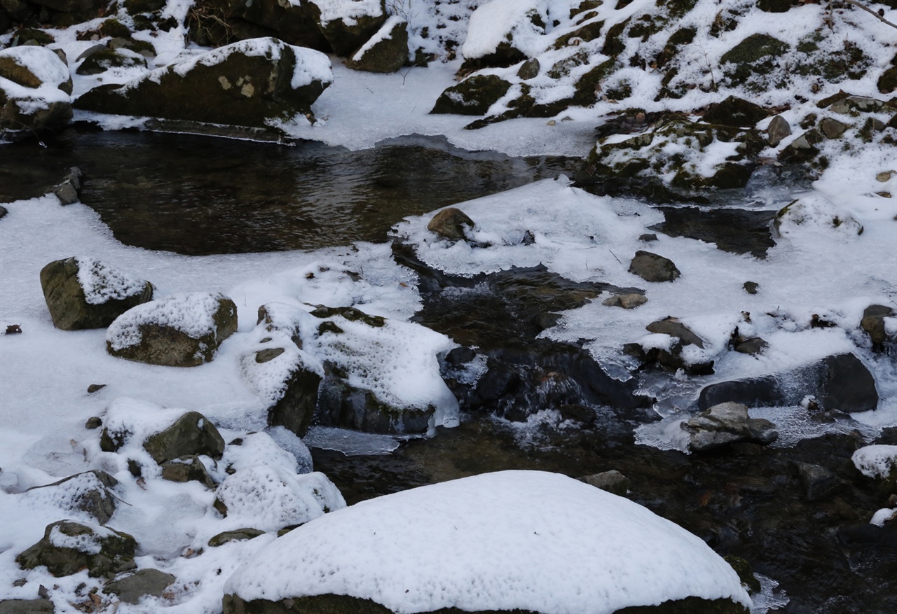 하얀 눈이 내려앉은 태안사 계곡. 하얗고 까만 대비를 이룬 계곡에 맑은 물이 흐르고 있다.