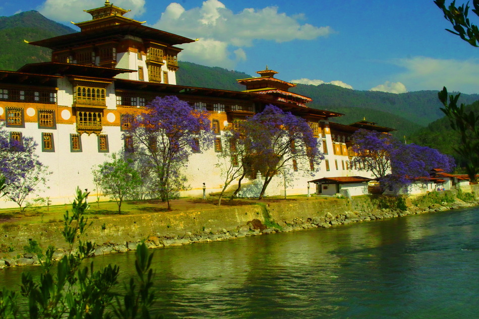 현 부탄 국왕과 왕비가 결혼식을 올렸던 아름다운 푸나카 사원