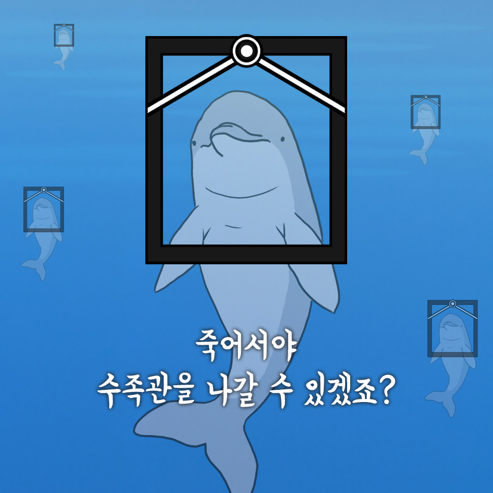  죽어서야 수족관을 나갈 수 있겠죠? 