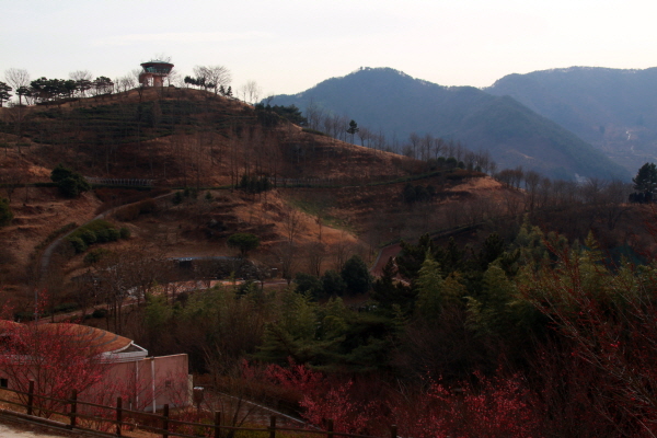  경남 하동군 하동읍 내 어디서든 접근이 쉬운 하동공원으로 점심을 먹고 봄 마중을 떠났다.