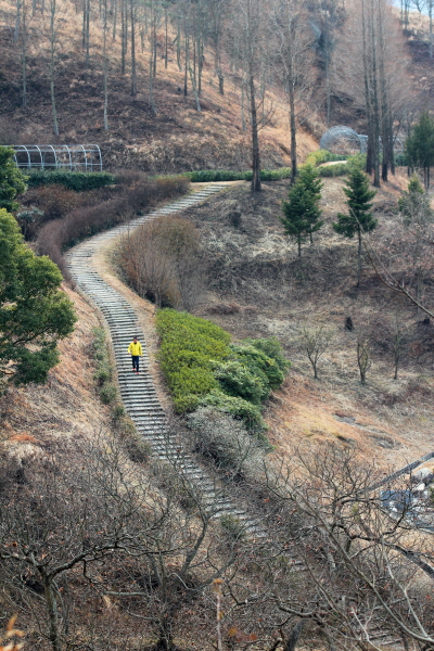  하동공원을 사박사박 걷는 일상은 봄을 보고 느끼는 시간이다.