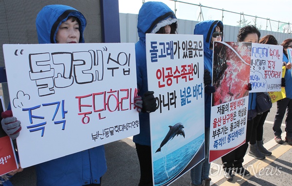 동물보호단체들이 꾸린 '울산 남구청 돌고래 수입반대 공동행동'은 9일 오전 부산항 국제여객터미널에서 이날 울산 남구청이 부산항을 통해 일본에서 수입하는 돌고래 반입을 규탄하는 기자회견을 열었다. 