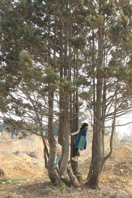 나무를 타고 오르는 아이들