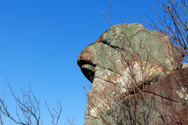 산청 꽃봉산 전망대 근처 충직한 개를 닮은 바위