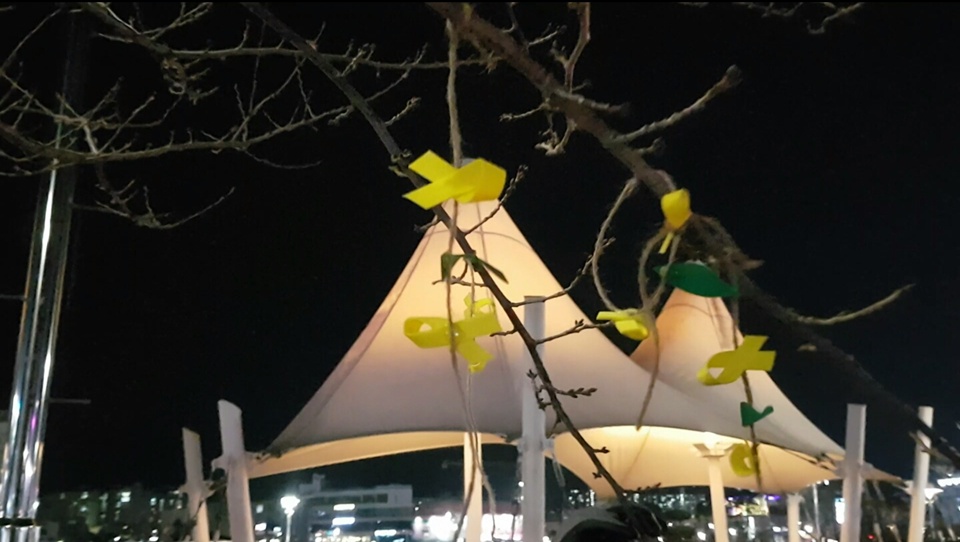 18일 오후 충남 서산에서 열린 '서산시민 시국 촛불집회'에서 서산시민들이 세월호 참사를 기억하는 의미에서 호수공원 주변에 세월호 리본을 달고 있다.