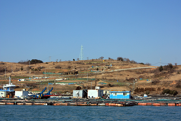 송도 앞바다에는 가두리 양식장이 가득했다. 뒤에 보이는 나즈막한 능선은 과거엔 주민들의 경작지였으나 지금은 아무도 경작하지 않아 잡초만 우거졌다. 