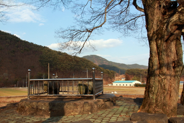  고성군 마암면 마을 회관 앞에 투박한 석마(石馬) 두 마리가 느티나무 아래 있다 
