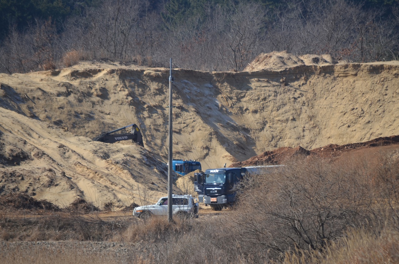  주말인 지난 25일 충남태안군원복면 신두리 사구 인근에서 불법 모래채취가 벌어지고 있다.