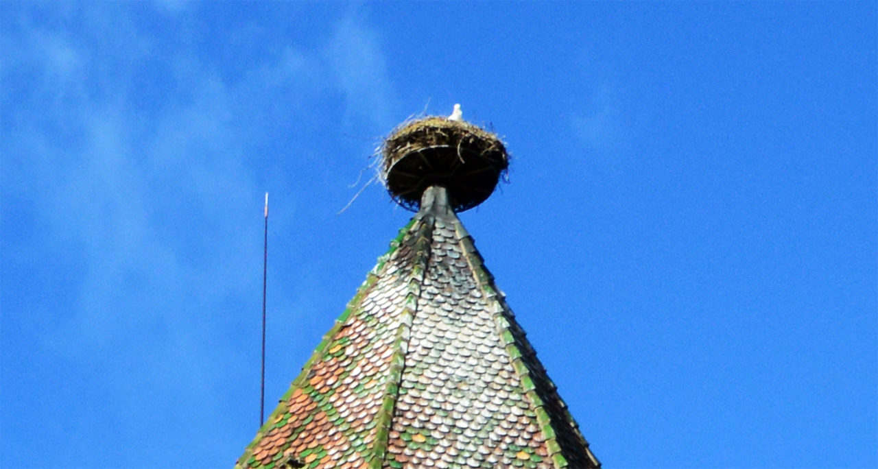 성당 첨탑 위에는 알자스의 마스코트 황새가 둥지를 틀고 살고 있다.