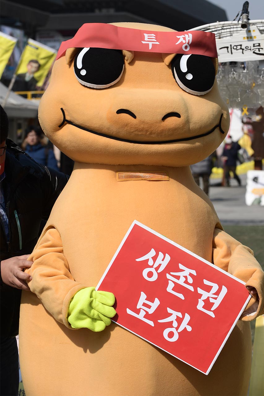 생존권 보장하라! UN에서 지정한 세계 야생 동?식물의 날 (World Wildlife Day)인 3일 오후 서울환경운동연합 회원들은 서울 종로구 광화문광장에서 봄철 산란을 시작한 도롱뇽을 비롯한 야생 동?식물의 중요성을 알리고 보호를 호소하는 기자회견을 열고 "지구온난화와 서식지 파괴로 인해 종로구 백사실계곡의 도롱뇽은 심각한 위기에 처해 있다"며 "1급수 지표종이자 기후변화 지표종인 도롱뇽을 살리는 보호활동이 절실하다"고 호소했다.