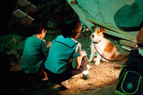  영화 <개를 훔치는 완벽한 방법>은 한국 사회의 문제를 관통하는 작품이다.