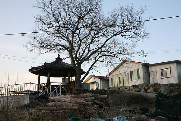  경로당 인근에는 더운 여름날 쉴 정자가 있었다 