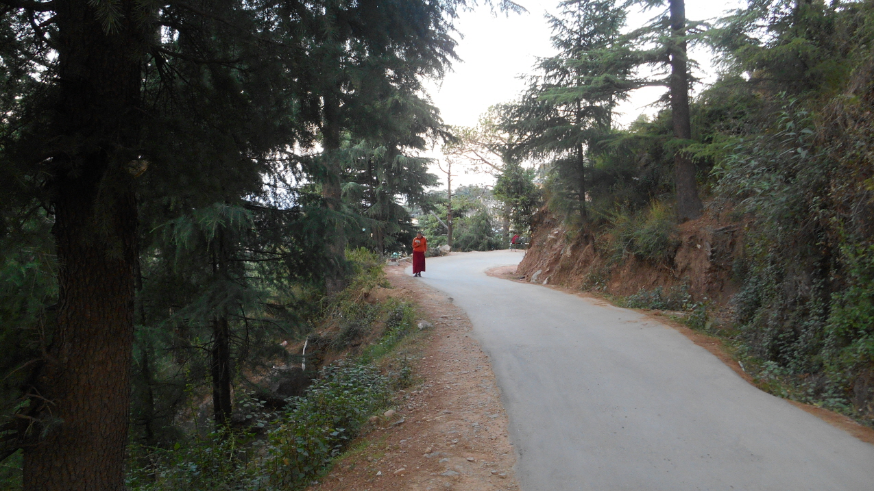 이른 아침 산책길에서 경전을 외우고 있는 티베트 라마승