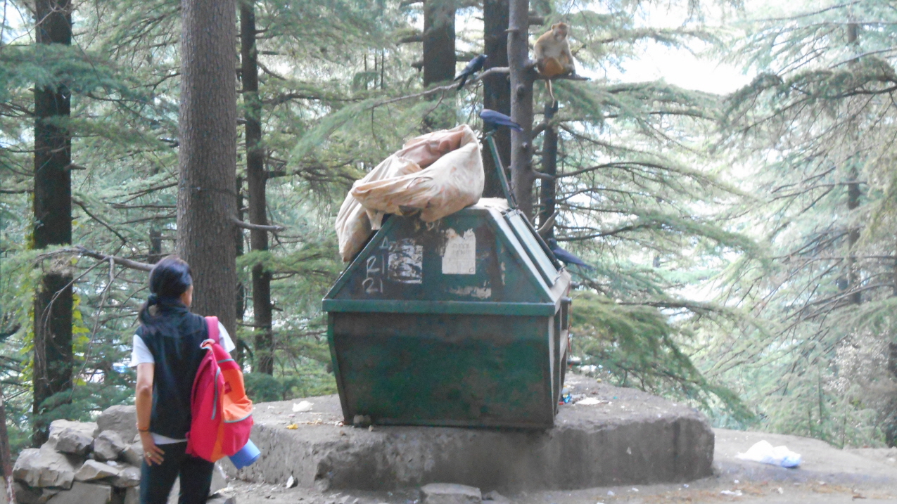 쓰레기통을 앞에 놓고 먹이 쟁탈전을 벌이고 있는 원숭이와 까마귀