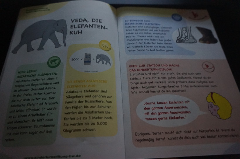 동물원 책자에 있는 코끼리 설명