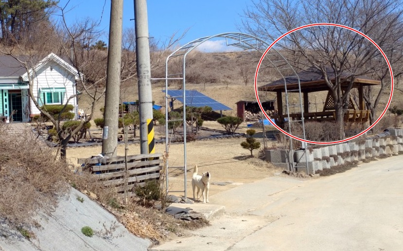  금산군(군수 박동철)이 공금으로 개인 집 마당에 정자를 지어준 것으로 드러나 논란이 일고 있다. 논란이 일고 있는 개인 집 마당 한편에 있는 정자(오른쪽 붉은 원안) 