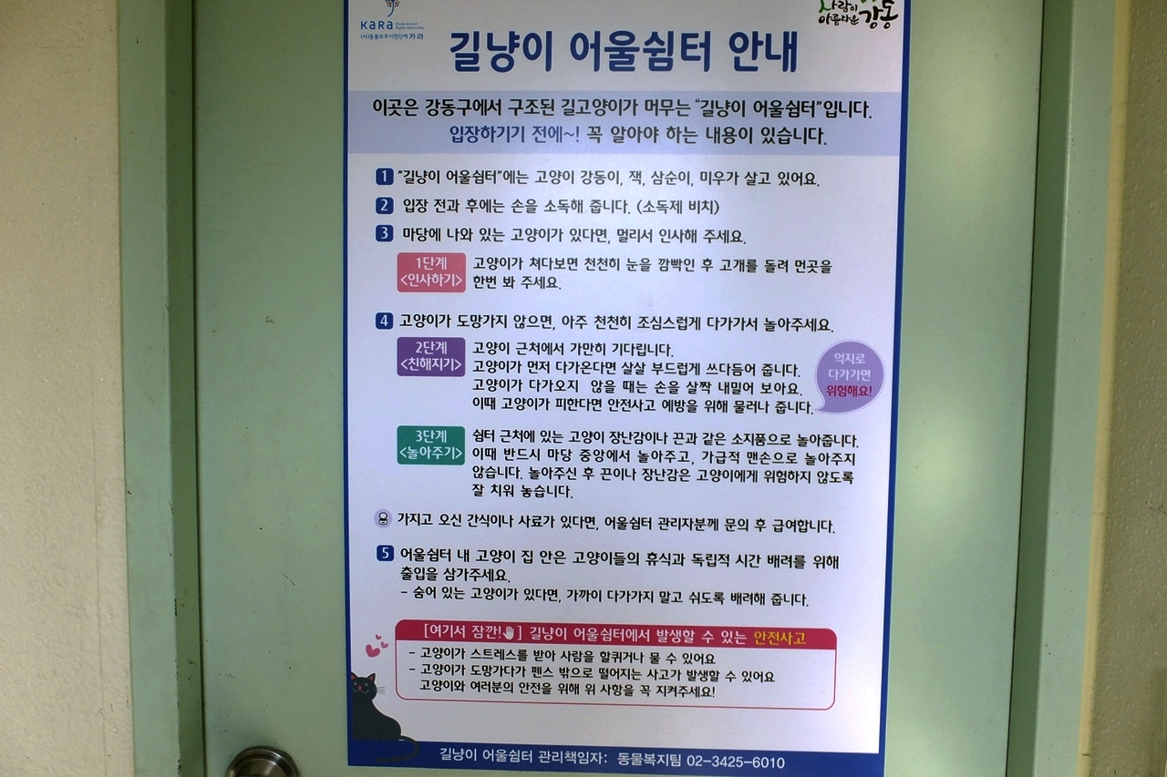  고양이 습성, 고양이와 친해지는 방법 등이 써있는 필독 안내판.