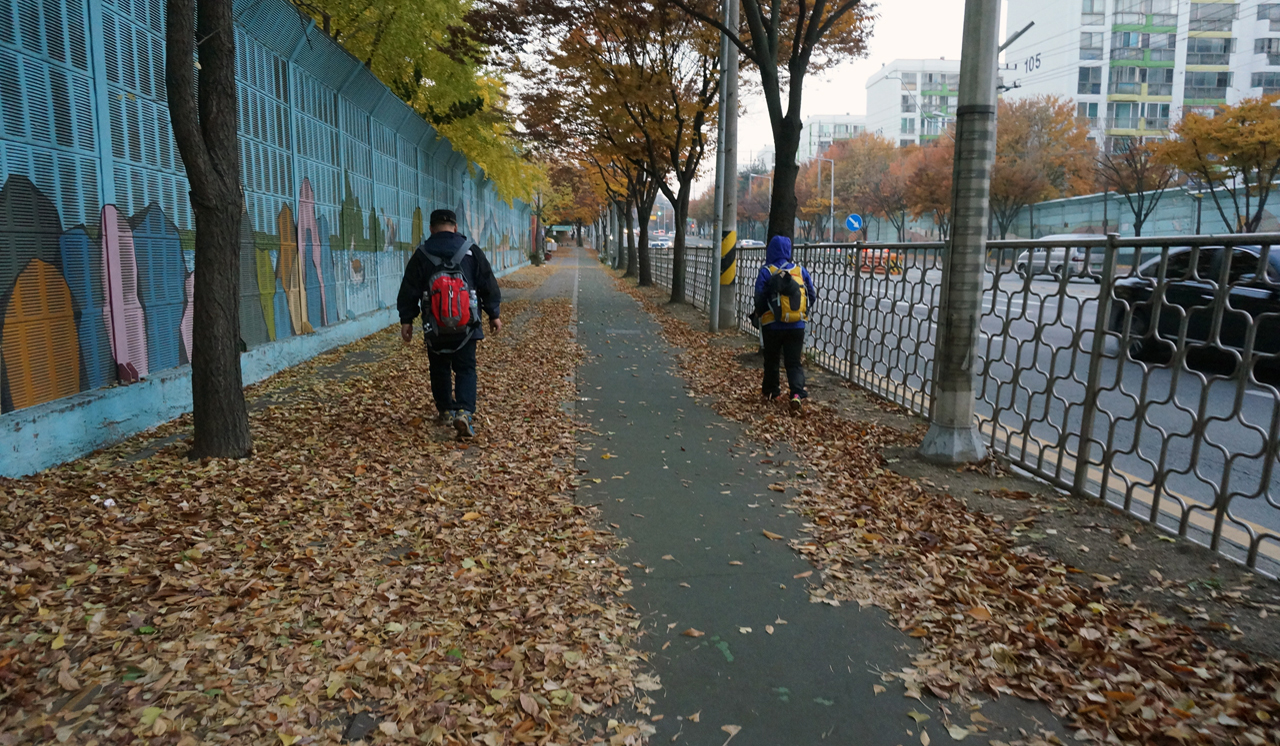 첫날 서정리 인근 도로에서 "낙엽만 느끼며 걸어보자"
