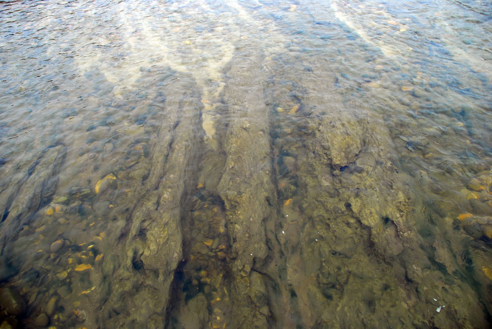  강바닥에 쌓인 펄들이 유속이 생기면서 씻겨 내리고 있다. 씻겨나간 자리엔 자갈과 모래가 되살아나고 있다.