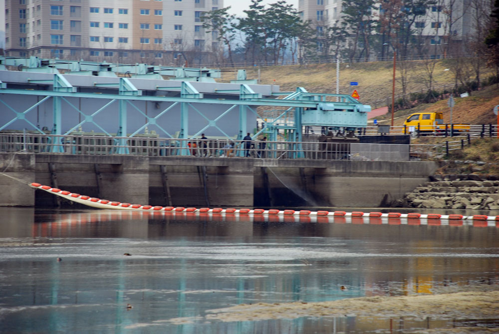  세종보 수력발전소에 녹조류 사체가 밀려들면서 수자원공사 직원들이 고압호스를 이용하여 흐트러뜨리고 있다.