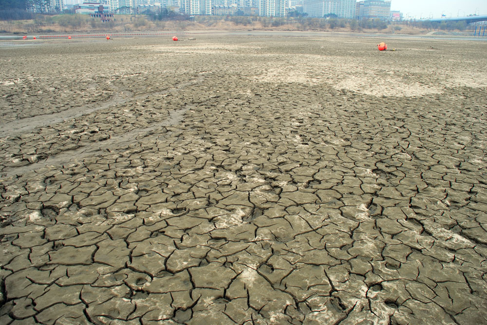  가뭄에 드러난 논바닥처럼 강바닥이 쩍쩍 갈라져 있다.
