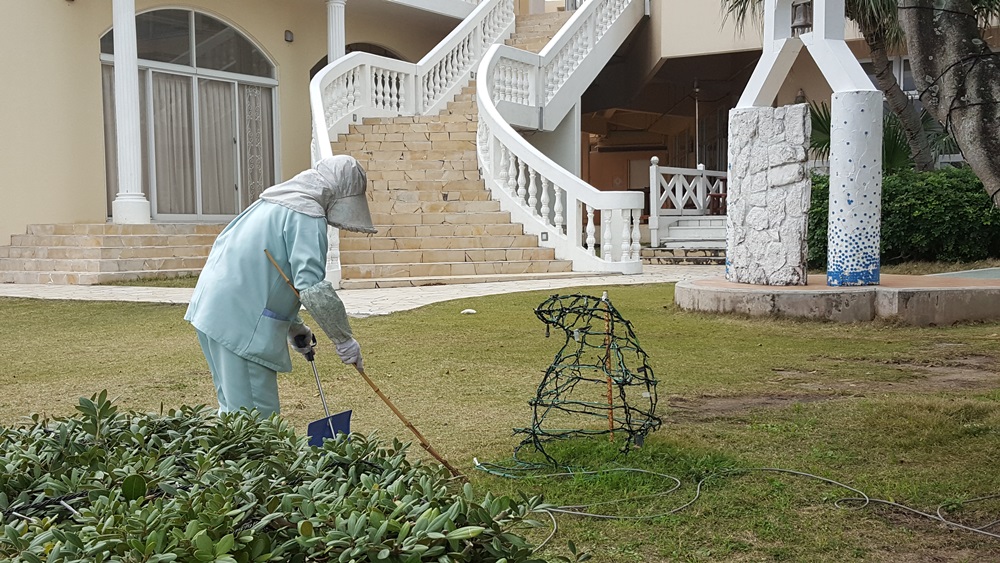 75세인 할머니 청소원이 호텔 유니폼을 입고 정원 청소를 하고 있다.