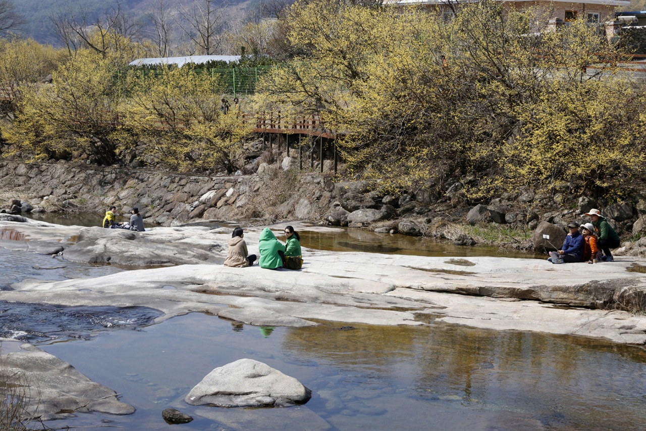 산수유마을을 찾은 여행객들이 서시천 너럭바위에 앉아 쉬면서 산수유꽃을 감상하고 있다. 지난 3월 21일이다.