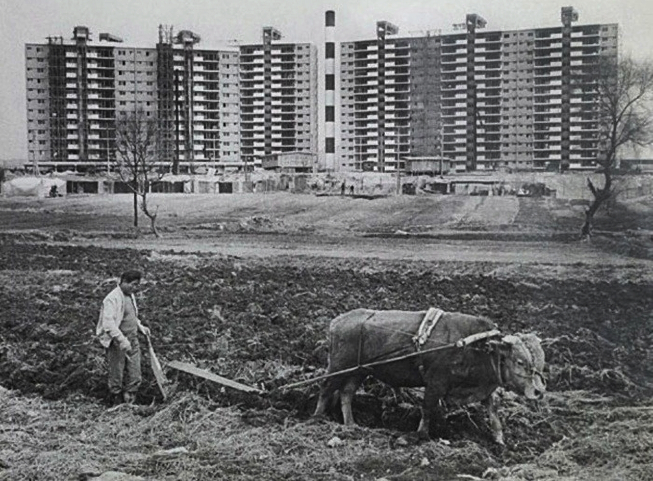  1978년 압구정동 개발 당시의 풍경. 