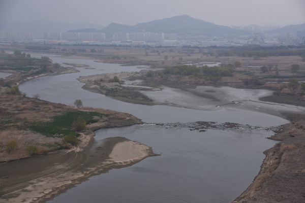  낙동강과 금호강이 만나는 합수부. 금호강의 여울과 습지가 다시 살아나고 모래톱이 일부 돌아왔다 