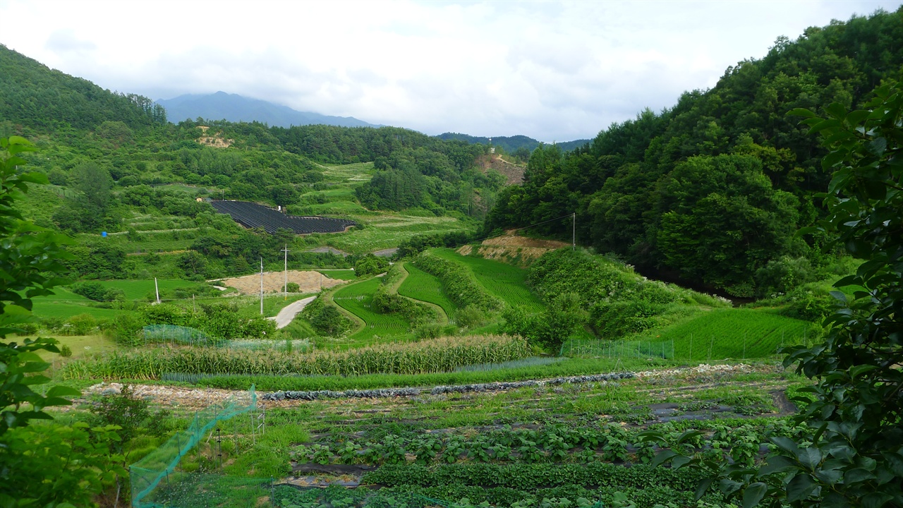 전북 장수군에서 유기농으로 농사짓는 백화골에서는 2013년부터 세계 여행자 자원봉사 프로그램의 호스트로 활동하고 있습니다.